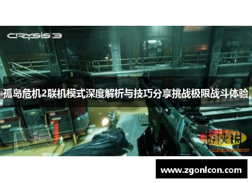 孤岛危机2联机模式深度解析与技巧分享挑战极限战斗体验