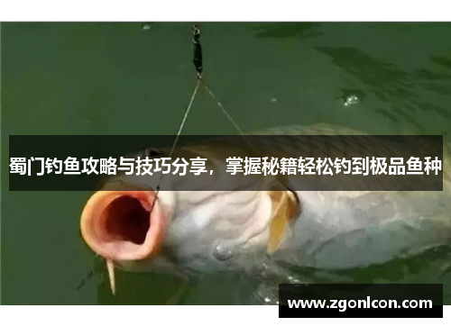 蜀门钓鱼攻略与技巧分享，掌握秘籍轻松钓到极品鱼种