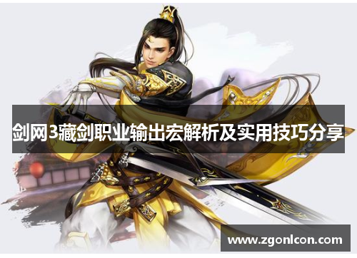 剑网3藏剑职业输出宏解析及实用技巧分享