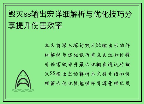 毁灭ss输出宏详细解析与优化技巧分享提升伤害效率