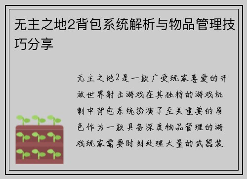 无主之地2背包系统解析与物品管理技巧分享